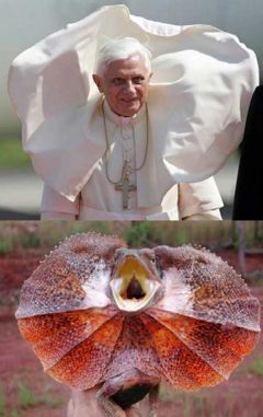 Papa Ratzinger-Z TRANSFORMACIÓN.jpg